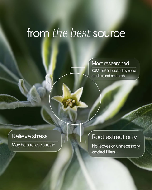  Clearly - Ashwagandha